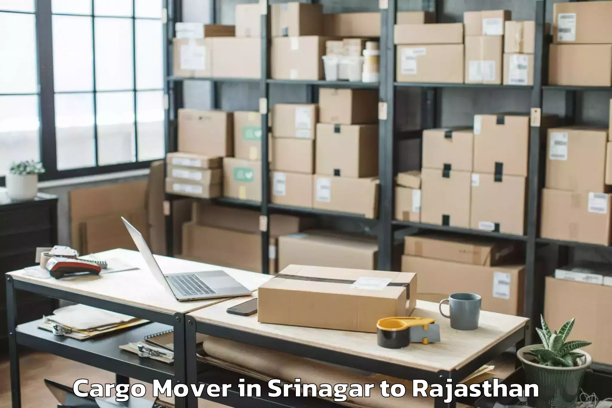 Leading Srinagar to Hindaun Cargo Mover Provider